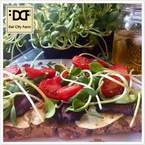 2DA1150C-FF73-4FE2-A153-044BB6A68087