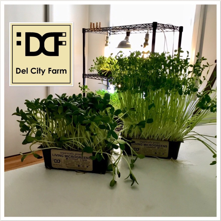 7F7A6BFB-C4F5-4D51-904A-880FDF2DC2C4