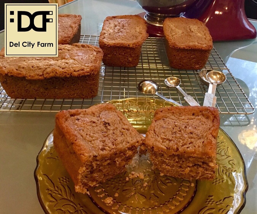 DD1E0D81-AE43-4A72-8745-066A502C02CC