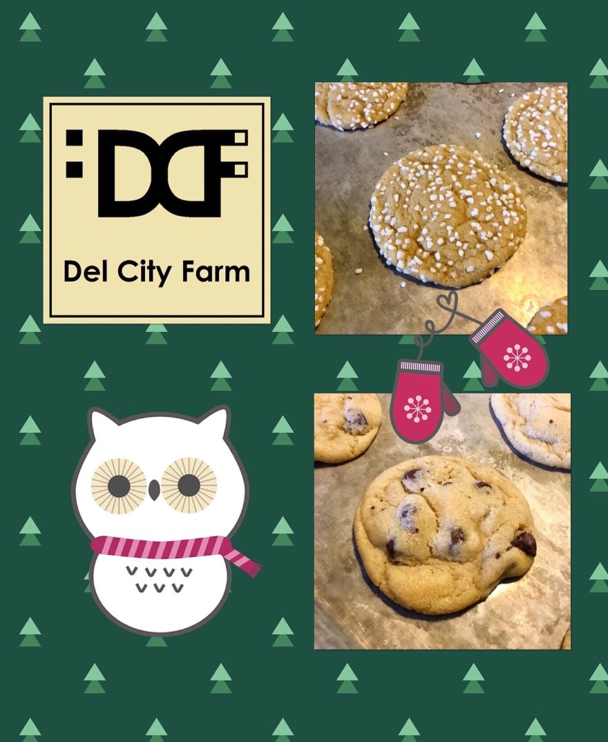 6e96b023-4cee-4db9-a8fd-37dcd1d7d9f3