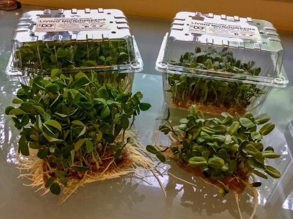 710C7704-4A0D-4142-8324-837166007E8C