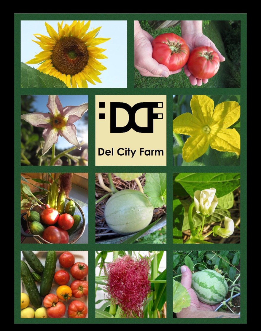 9FA4C5A5-4C3A-4F7D-B98F-8BB902DCE552