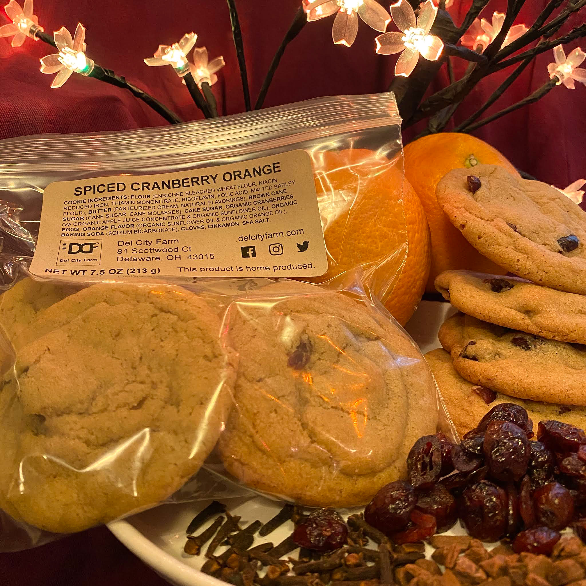 3e09a483-a141-4723-b24b-2226401f1a4e