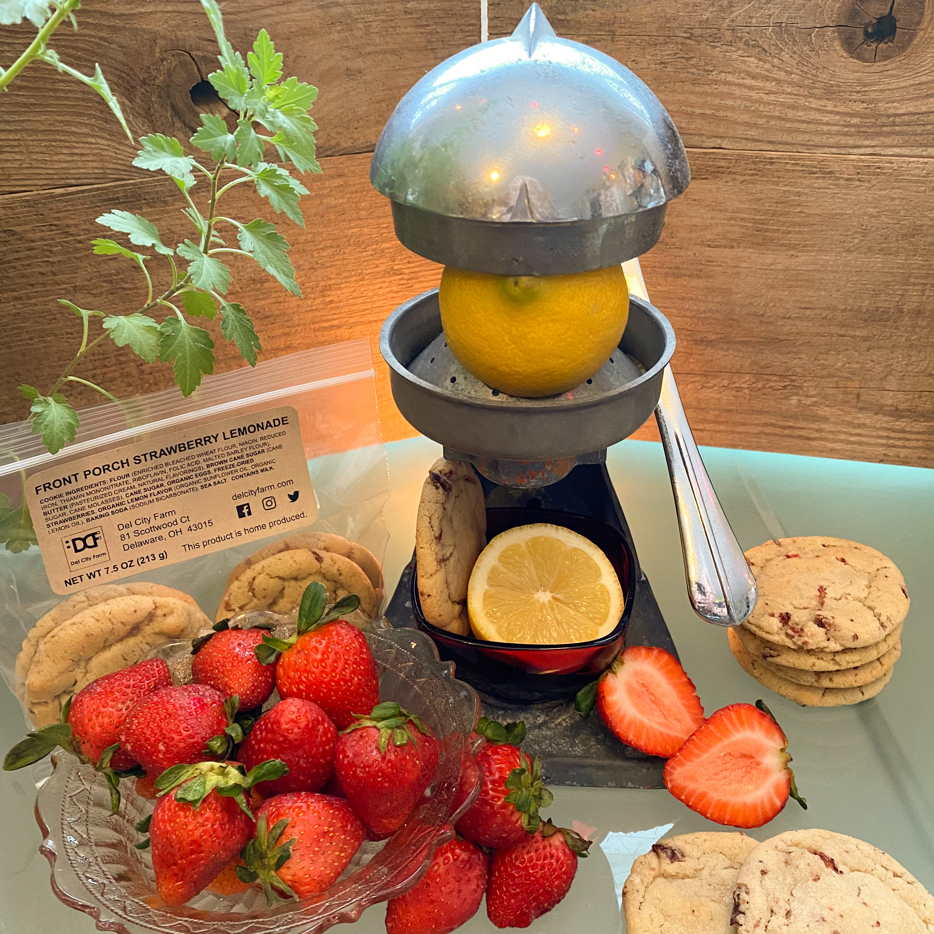 9e3d019d-fc88-459f-889d-6e6f627040cf