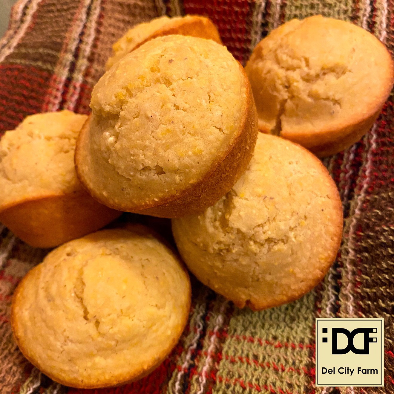 3ffd364a-1c94-492f-8244-f1a0906b673c